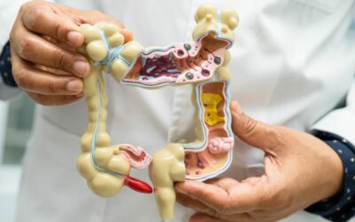 What is Gut Microbiome? The Basics of Gut Microbiome