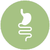 digestive health icon