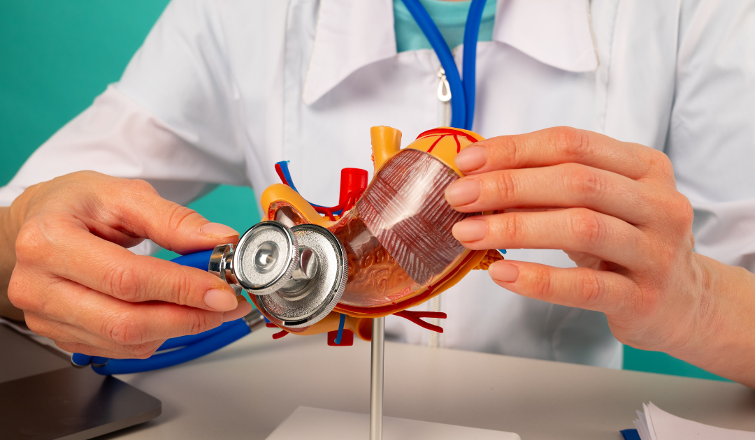 Natural Gut Health Supplements: What Works?