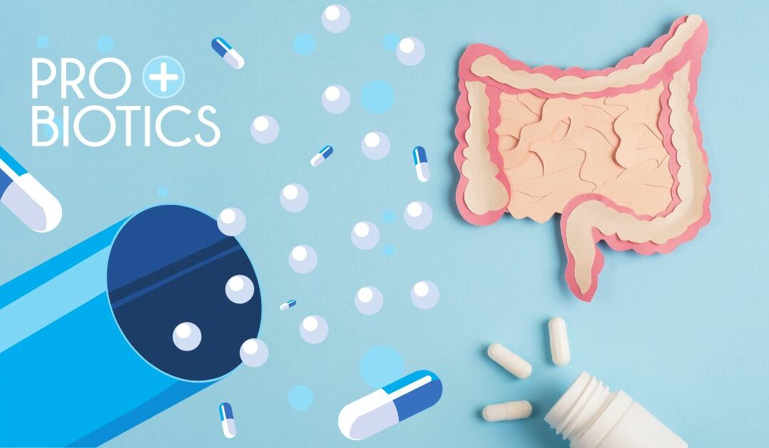 What Are The Best Probiotics in South Africa?